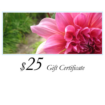 $25 Loving Lotus Gift Certificate
