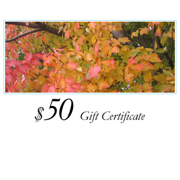 $50 Loving Lotus Gift Certificate
